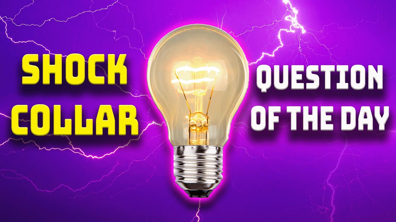 Use The Force (Shock Collar Trivia) 5/4/26 | Brooke and Jeffrey cover art