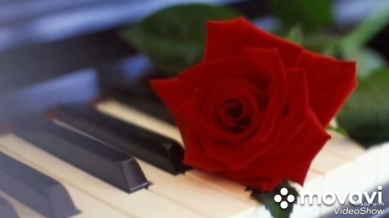 ...(1)... отрывки из мультфильма...