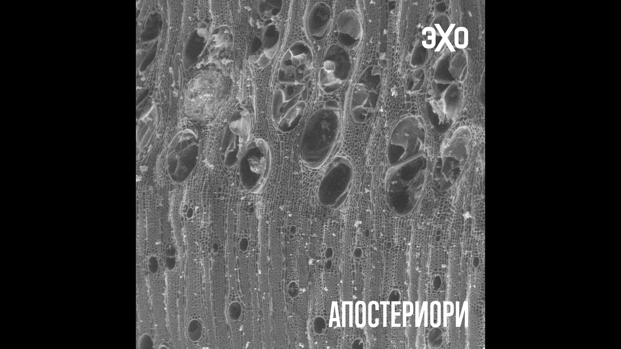 Древний уголь помог понять, как люди осваивали огонь cover art