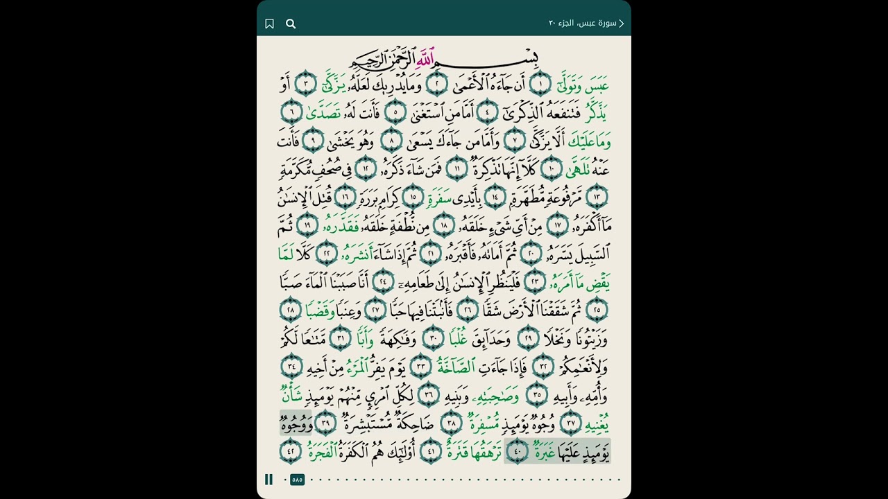 Juz 30 - Mishary Rashid cover art
