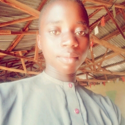 author avatar