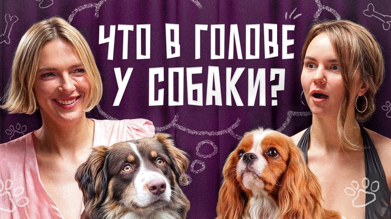Как заговорить на языке собак? О чём они мечтают и почему им нужны цели в жизни? cover art