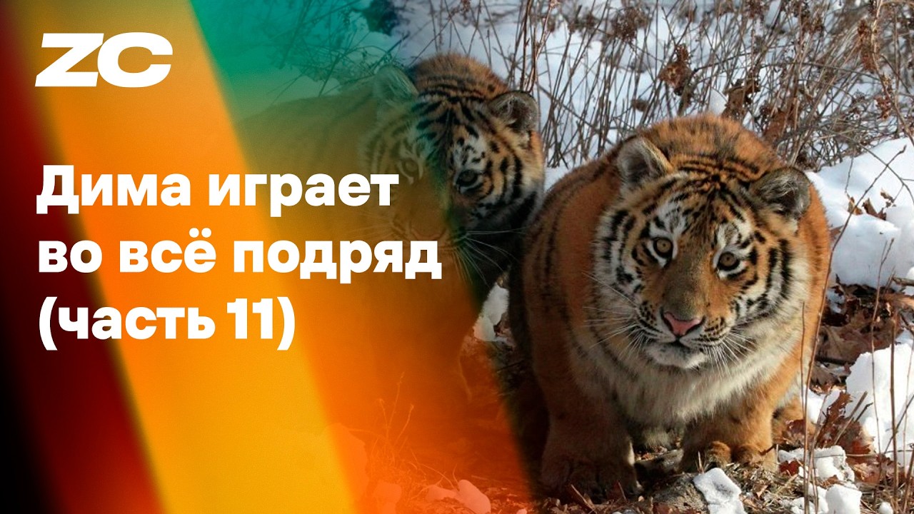 Завтракаст (Zavtracast) cover art