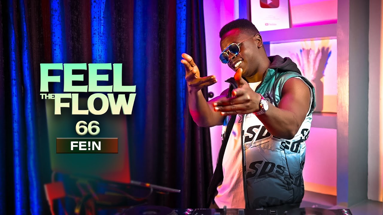 DJ FESTA - FEEL THE FLOW 66 | FE!N cover art