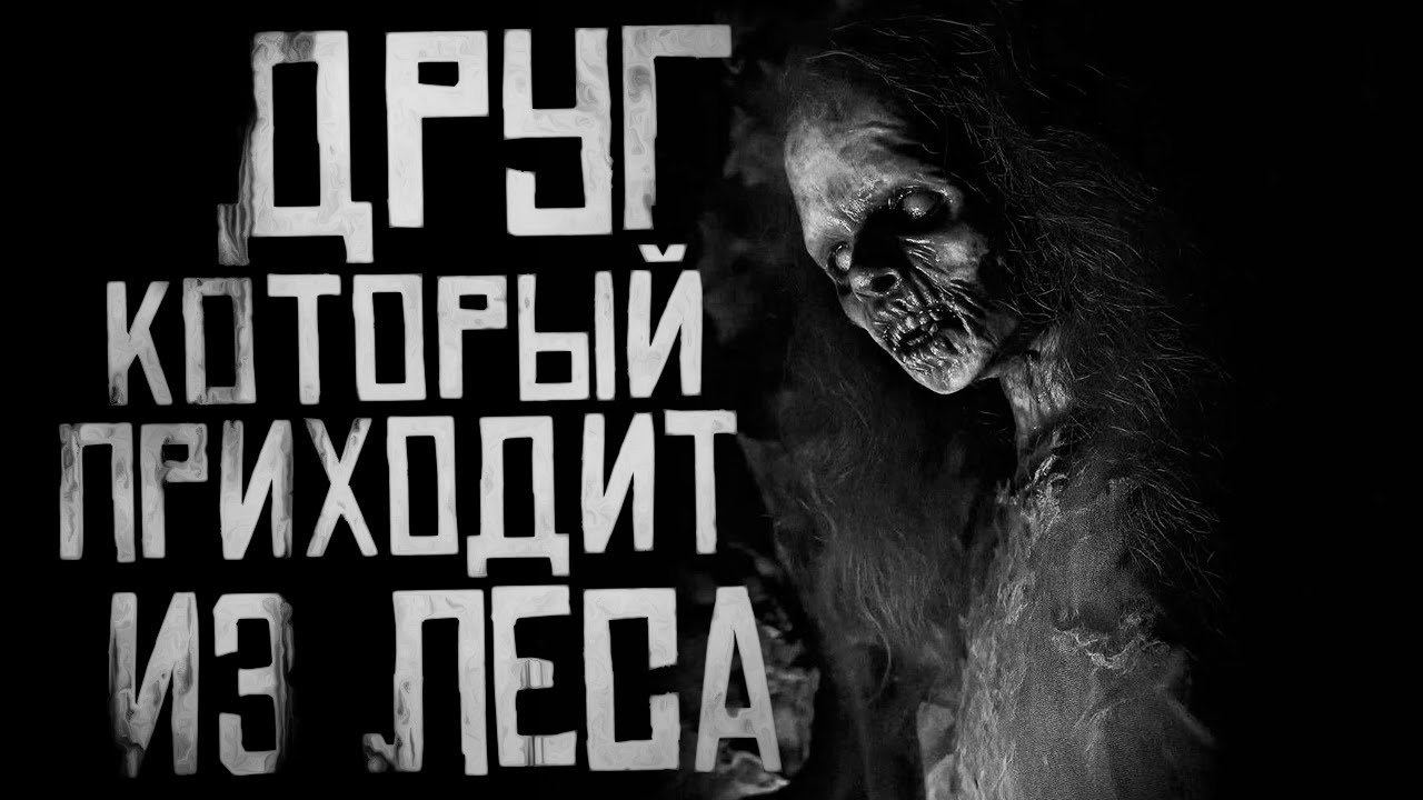 ДРУГ, КОТОРЫЙ ПРИХОДИТ ИЗ ЛЕСА.. Страшные истории на ночь. Страшилки на ночь. cover art