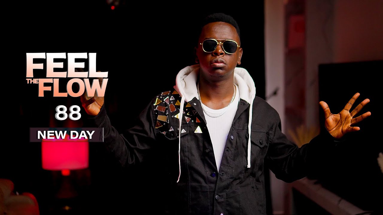 DJ FESTA - FEEL THE FLOW 88 | New Day cover art