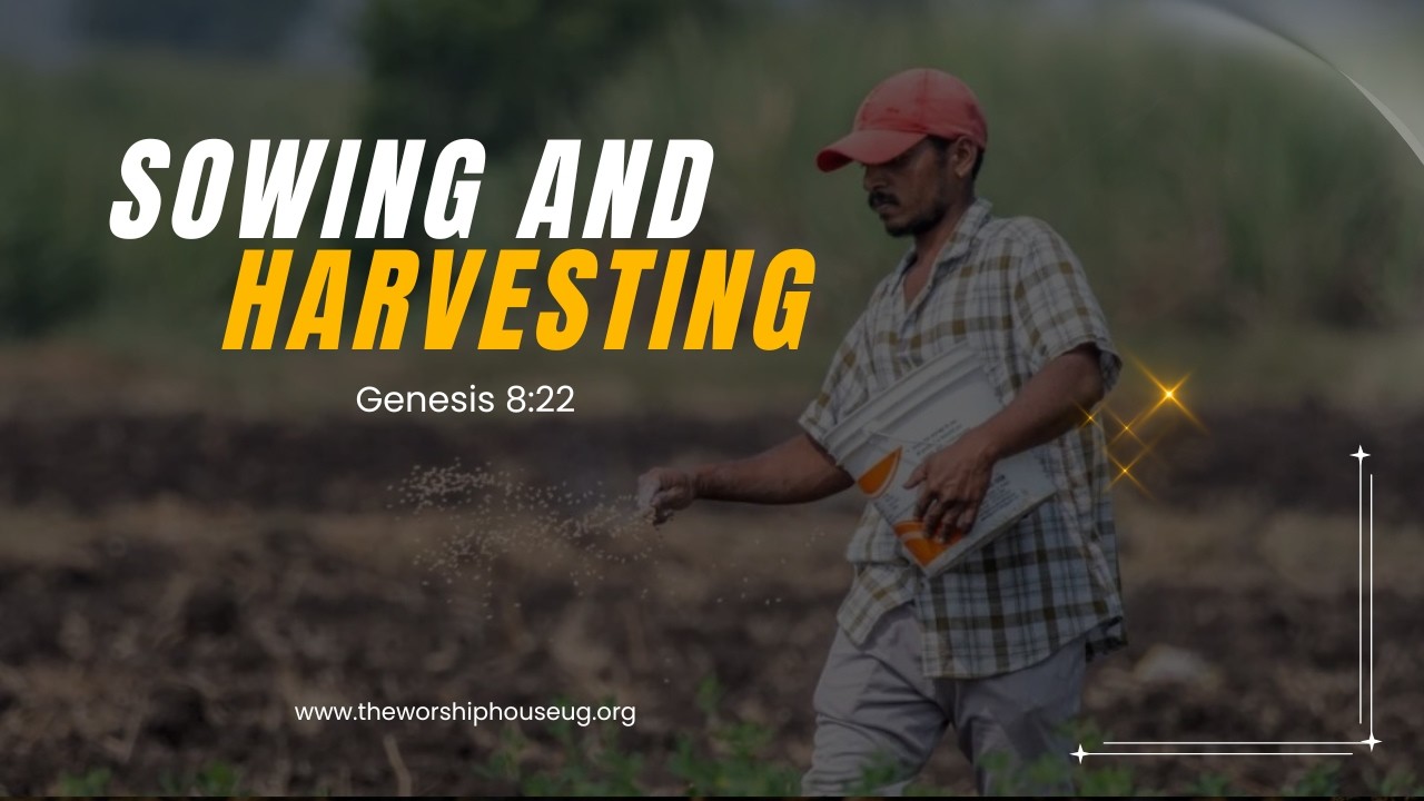 Sowing and Harvesting | 12 O'clock Sunday Service cover art