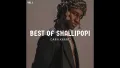 DJ Darh Krane Best of Shallipopi Mixx Vol.1