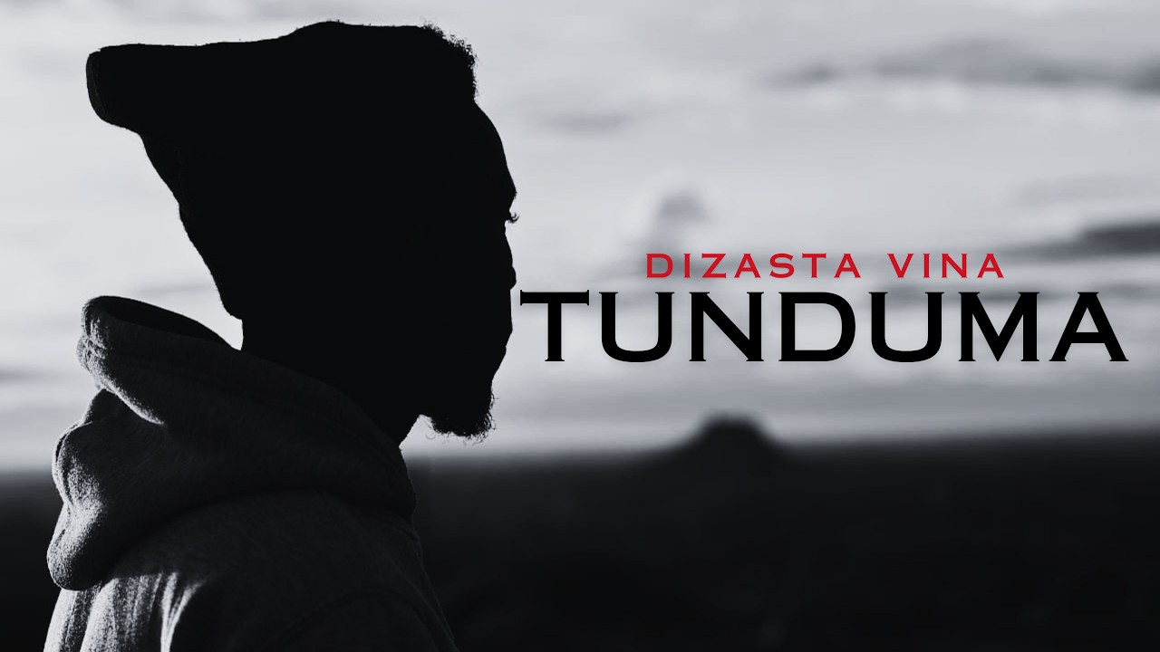 Dizasta Vina