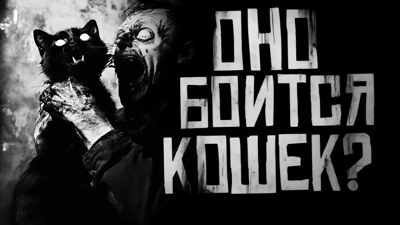 ОНО БОИТСЯ КОШЕК?? Страшные истории на ночь. Страшилки на ночь. cover art