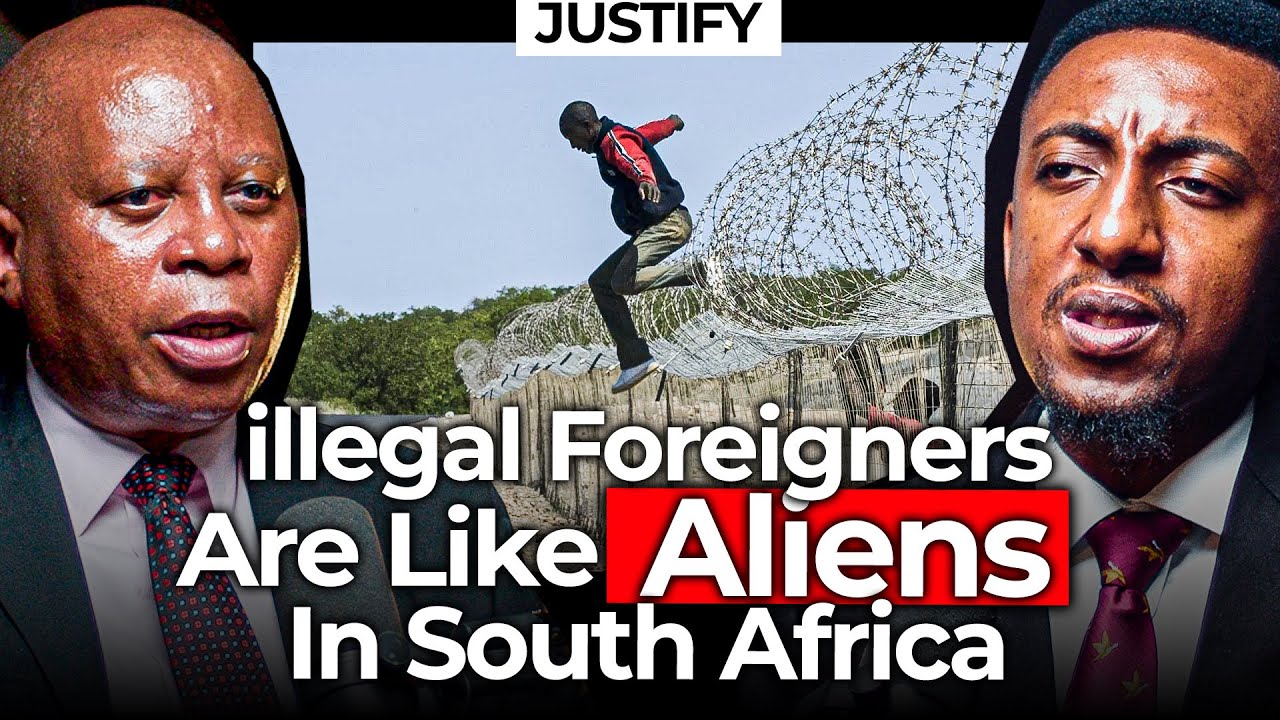 illegal Foreigners are like Aliens in south africa - Herman Mashaba cover art