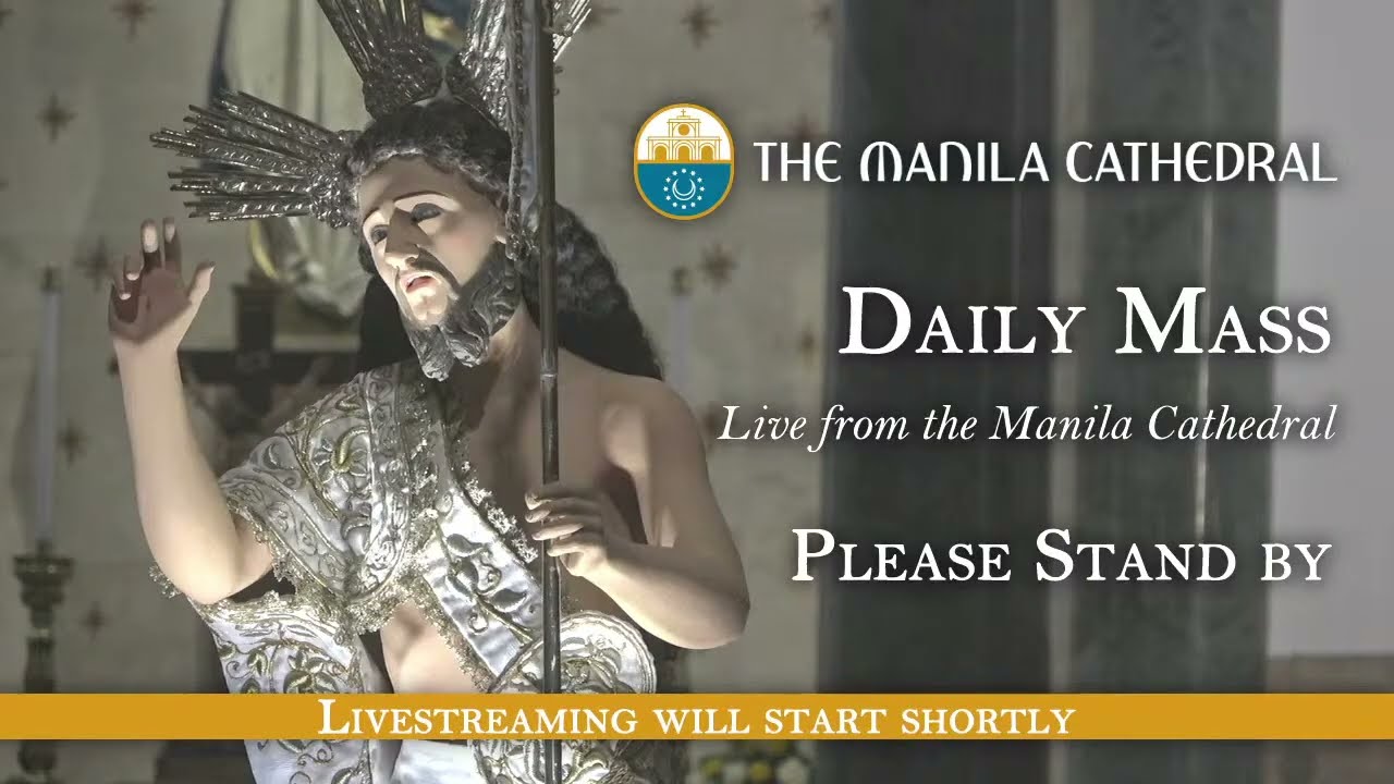 Daily Mass at the Manila Cathedral - May 08, 2026 (7:30am) cover art