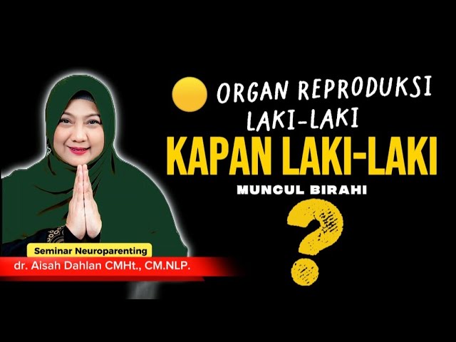 KAPAN LAKI - LAKI MUNCUL B1R4H1❓ - Seminar Neuroparenting skill dr. Aisah Dahlan, CMHt. cover art