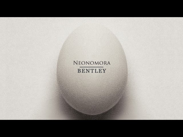NEONOMORA - Bentley (Official Audio) cover art