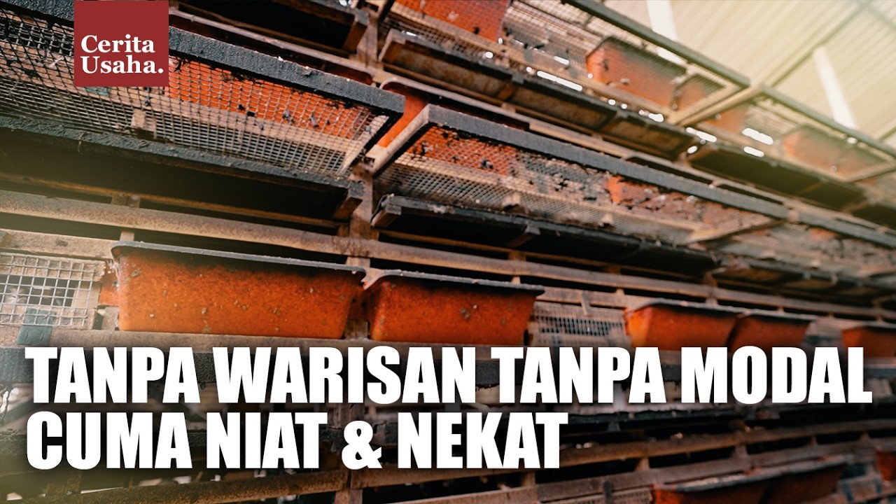 Pasutri Sukses Punya 5 Mobil Dari Ternak Puyuh, Dari 500 Ekor Jadi 150 Ribu Ekor cover art