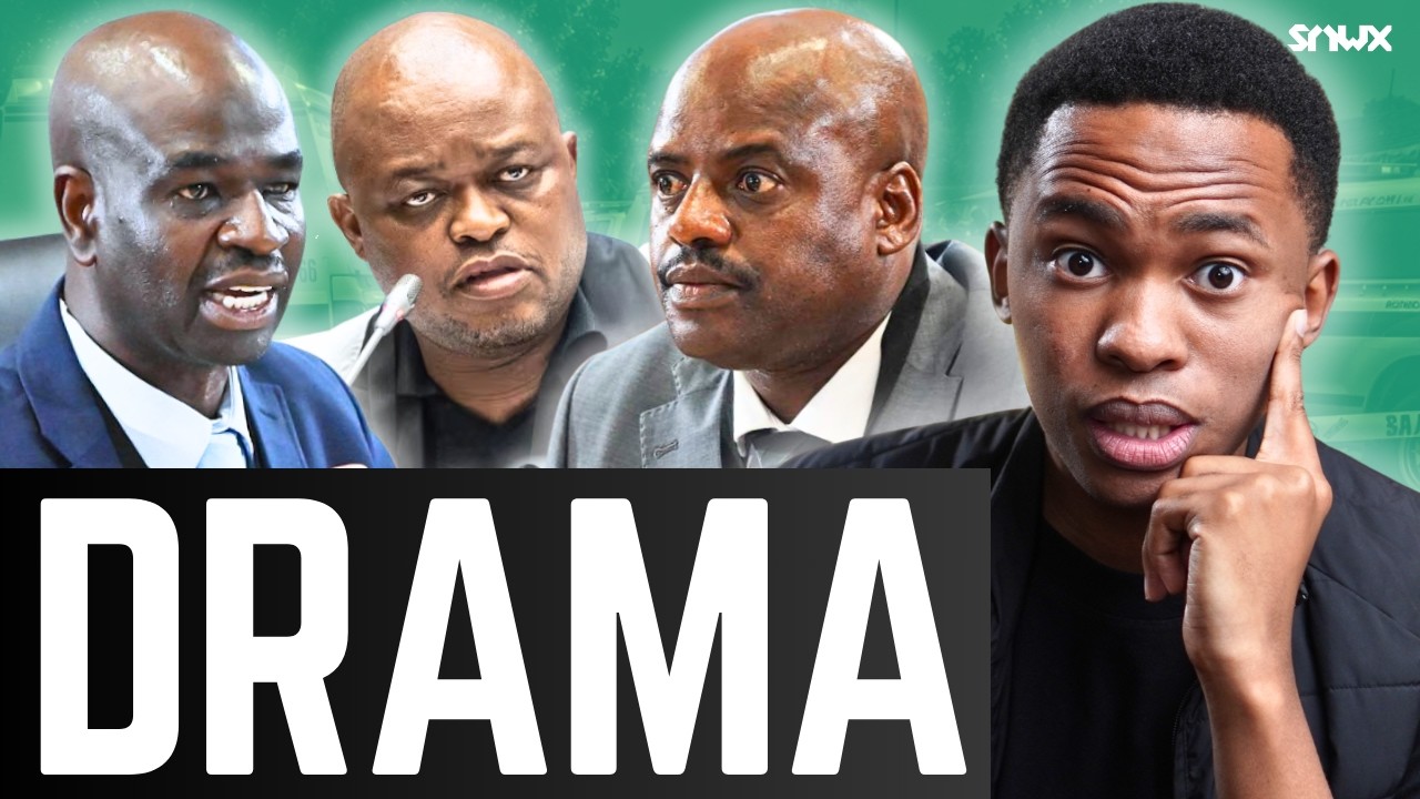 Brown Mogotsi wants Chaskalson recused at Madlanga cover art