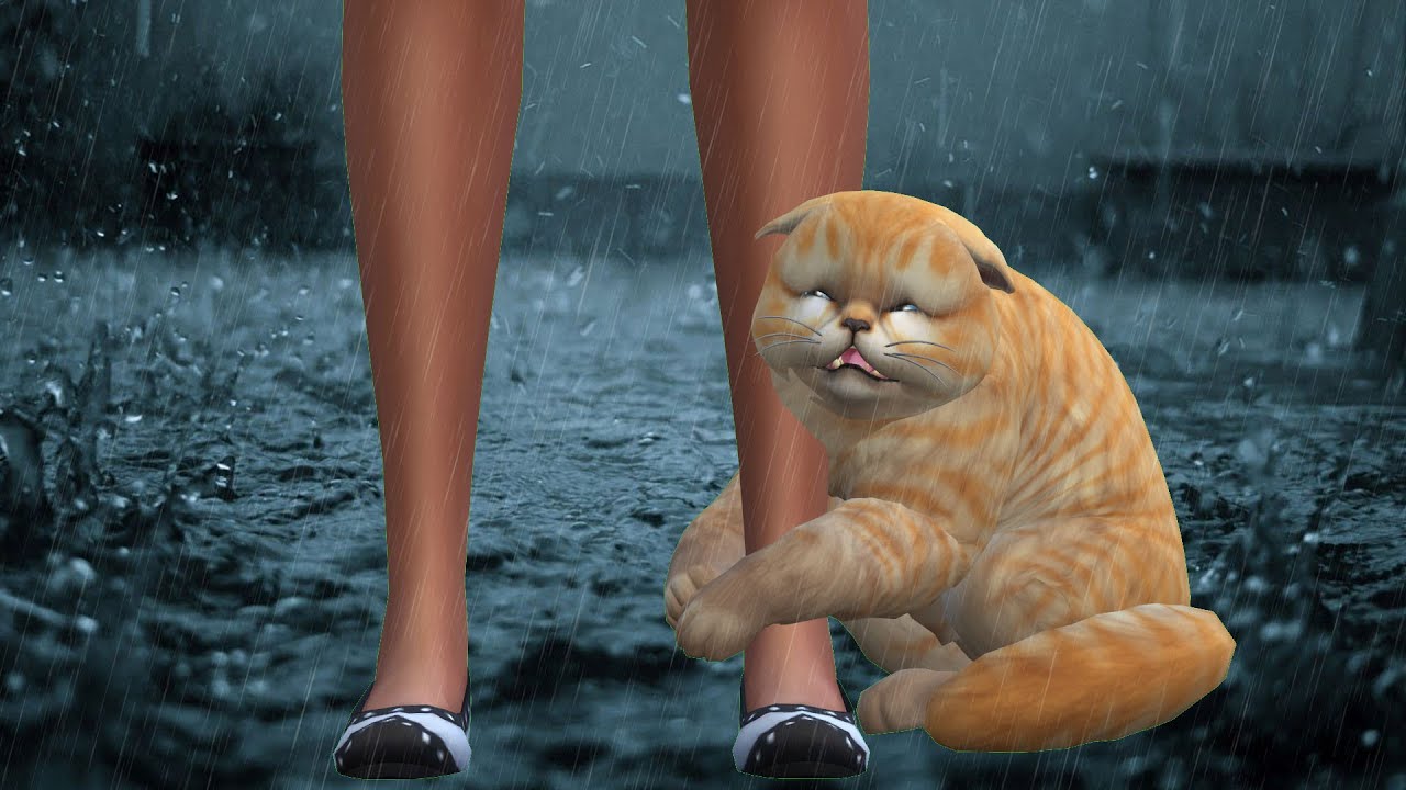 LONELY (CAT EDITION) | THE SIMS 4: STORY cover art