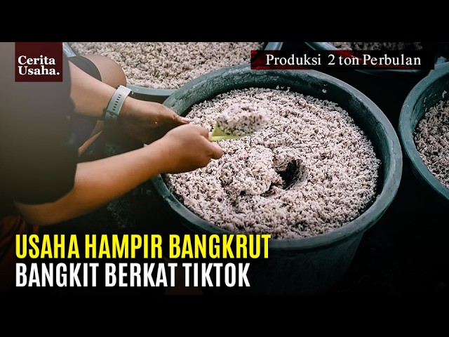Dikhianati Karyawan, Pelanggan Diambil, Usaha Ini Nyaris Bangkrut Lalu Bangkit Lewat TikTok cover art