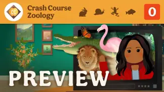 Zoology (2026) poster