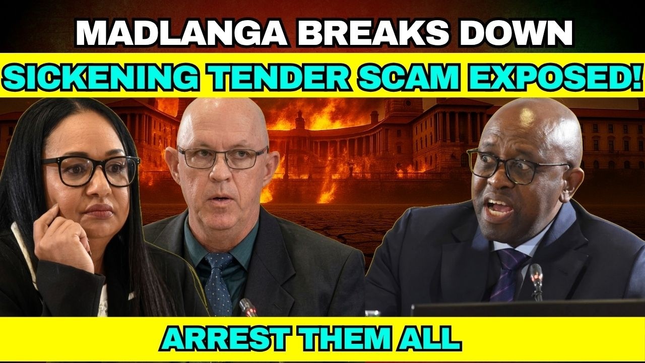 Madlanga BREAKS DOWN Over SICKENING Tender Scam!