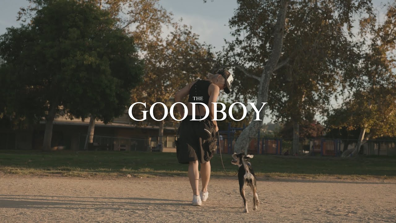 AGNEZ MO - OMG A WHOLE DIFFERENT DOG!! (Part 2)