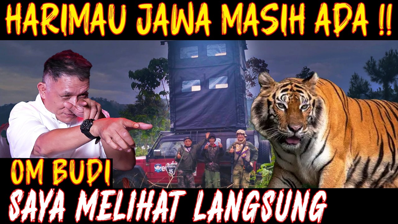 HARIMAU JAWA ITU NYATA!! SAYA LIHAT DENGAN MATA SAYA SENDIRI. KISAH NYATA PEMBURU SENIOR. cover art