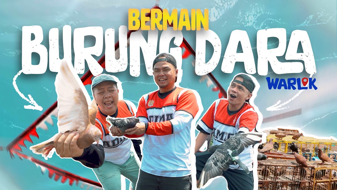 WENDI CAGUR MAIN BURUNG HARGA 1 MILIAR?! - WARLOK BURUNG DARA cover art