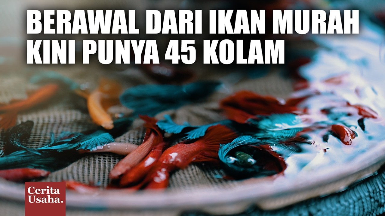 Jual Ikan Yang Dulu di Remehkan, Kini Omzet 15 Juta Perhari & Kirim Sampai Luar Pulau cover art