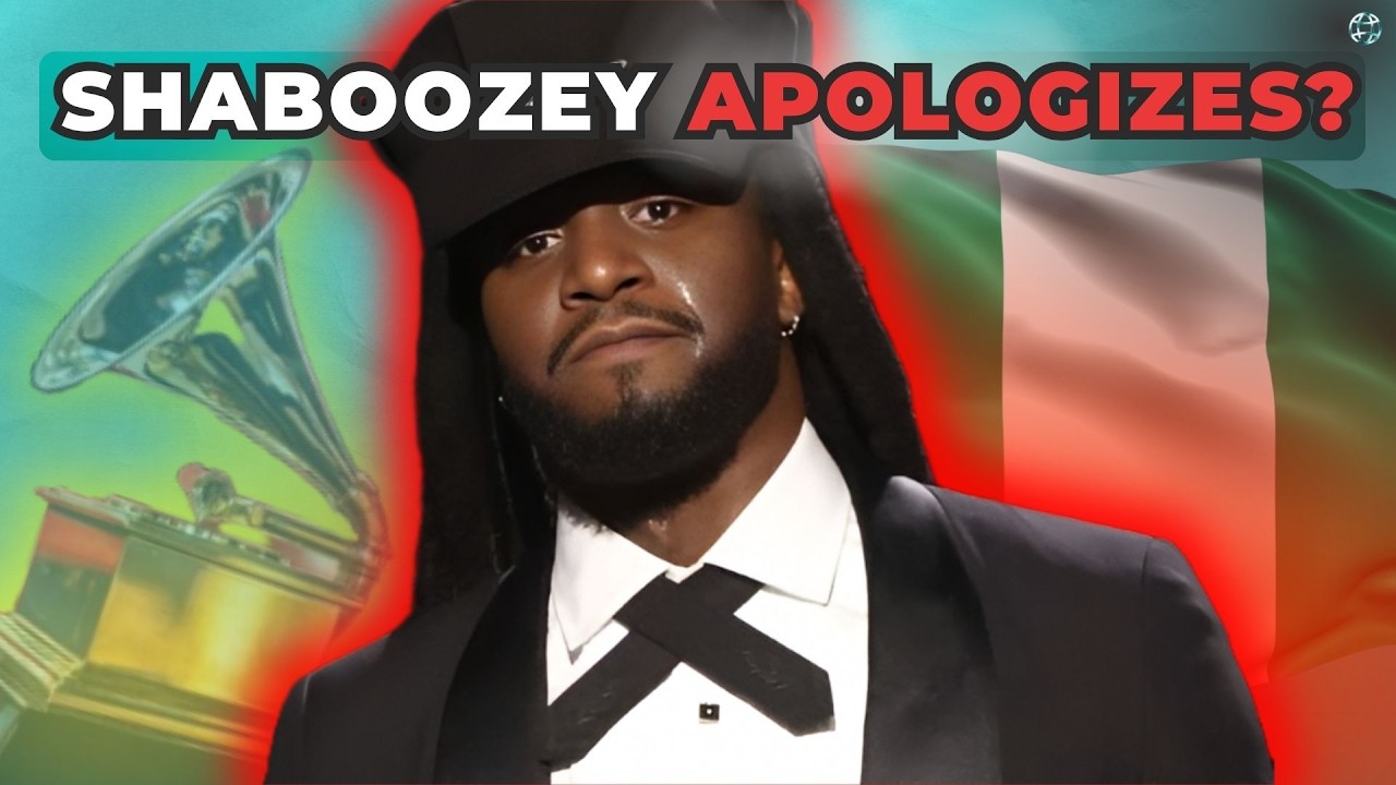 Nigerian Says "Immigrants Built This Country” TikTok Reacts | Diaspora Theory cover art