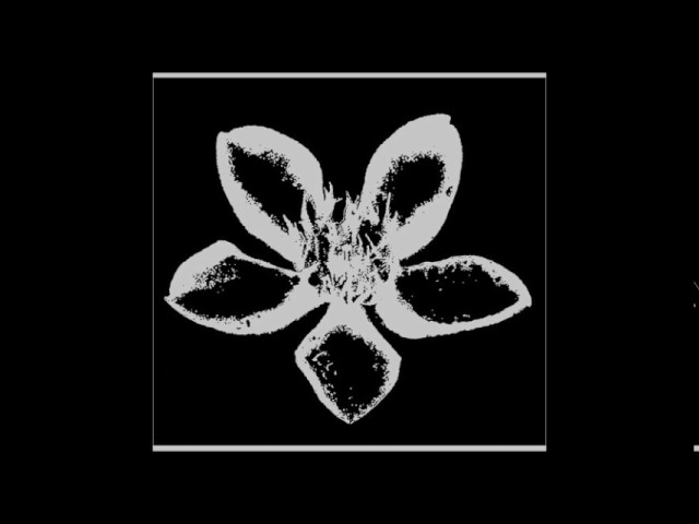 RMSAP - Puspa Indah Taman Hati (Chrisye Cover Version) cover art