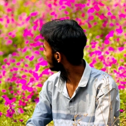 author avatar