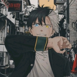 author avatar