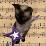 author avatar