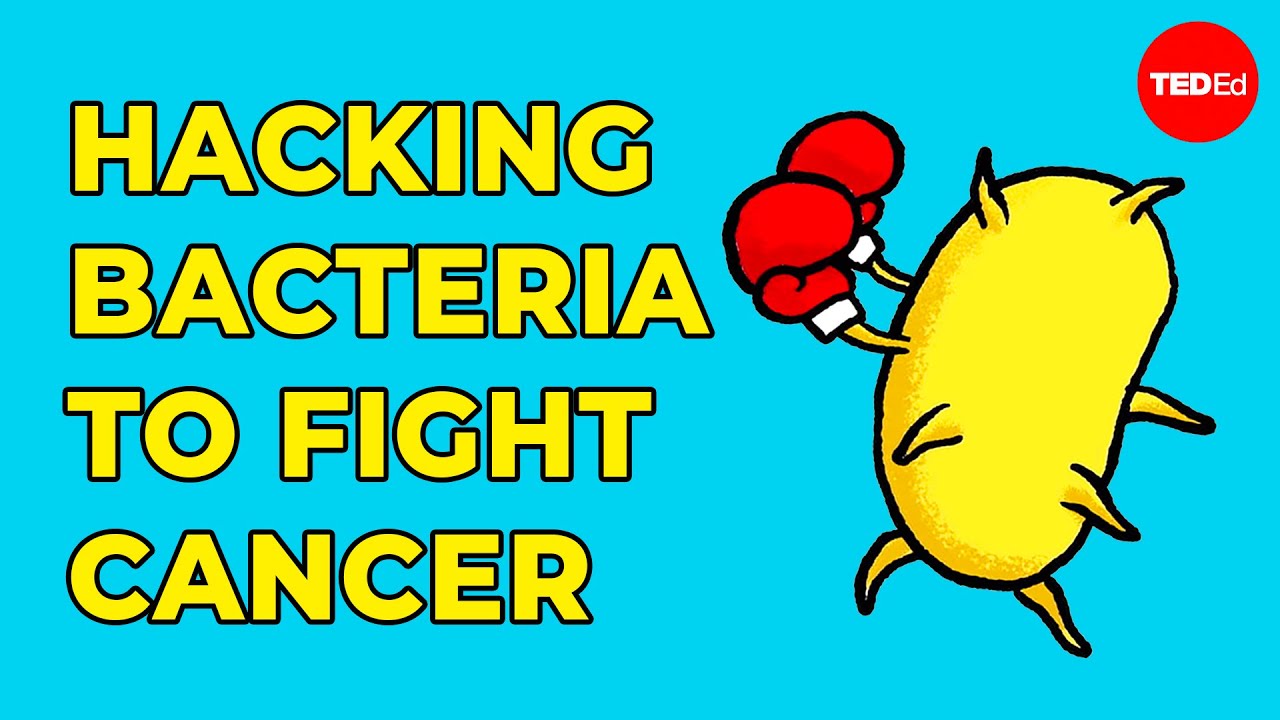 Hacking bacteria to fight cancer - Tal Danino cover art