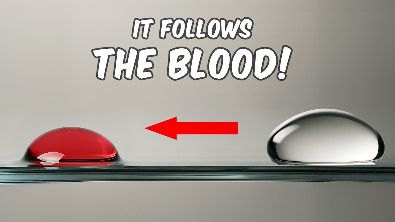 Why Is This Liquid Attracted To Blood?? cover art