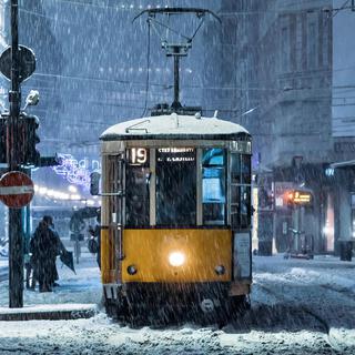 Tram Trip