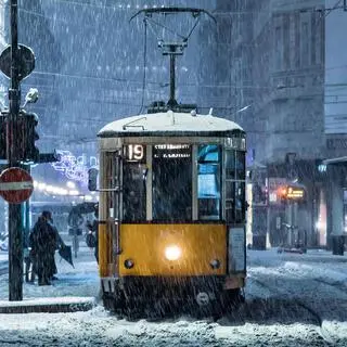 Tram Trip IV cover art