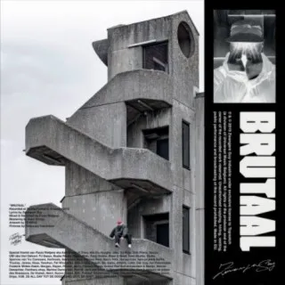 GRIJZE ZONE cover art