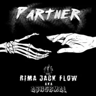 Partner cover art