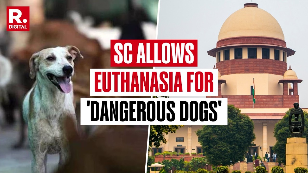Stray Dog Case: Supreme Court Allows Euthanasia Of Rabid And 'Dangerous Dogs' To Curb Threat cover art