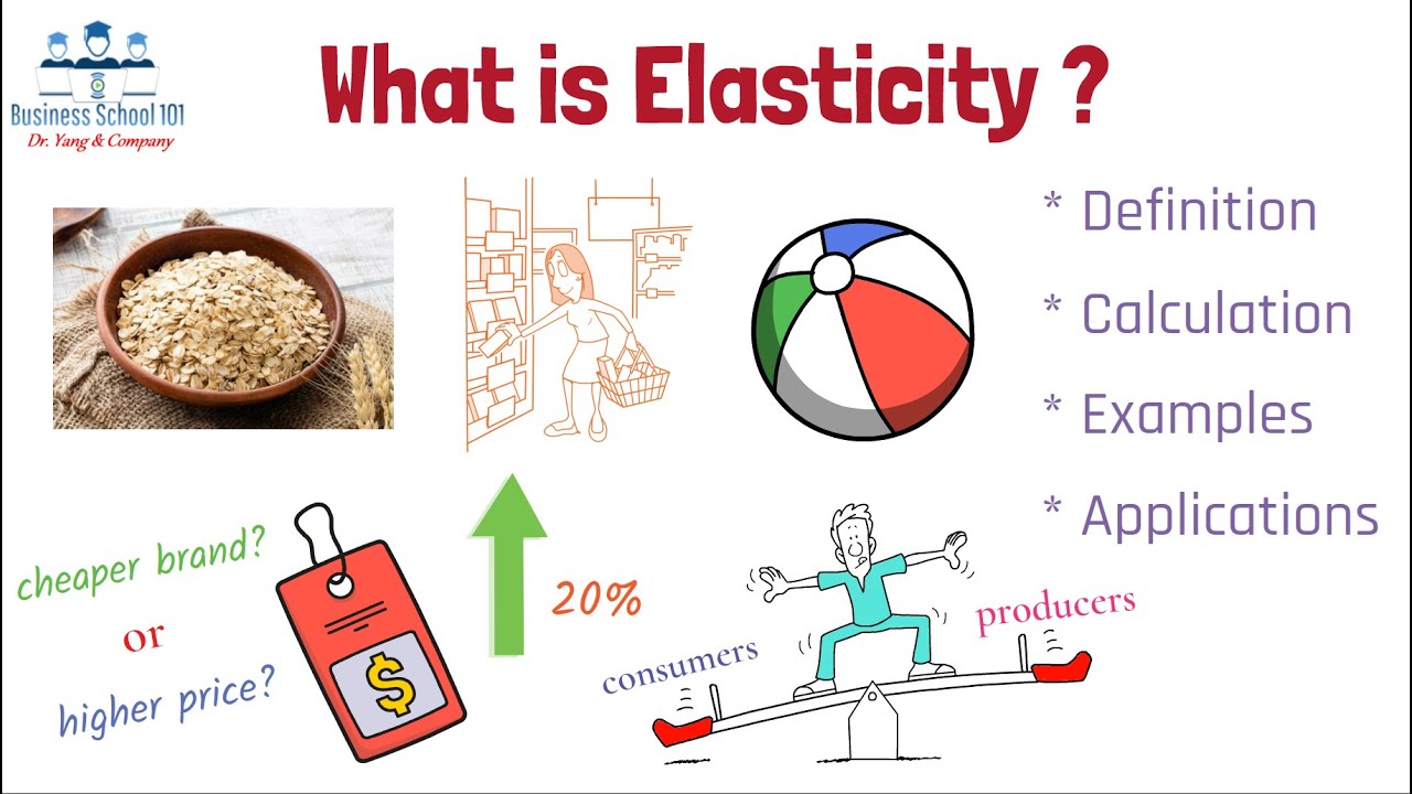 What is Elasticity? | Principles of Economics | From A Business Professor cover art