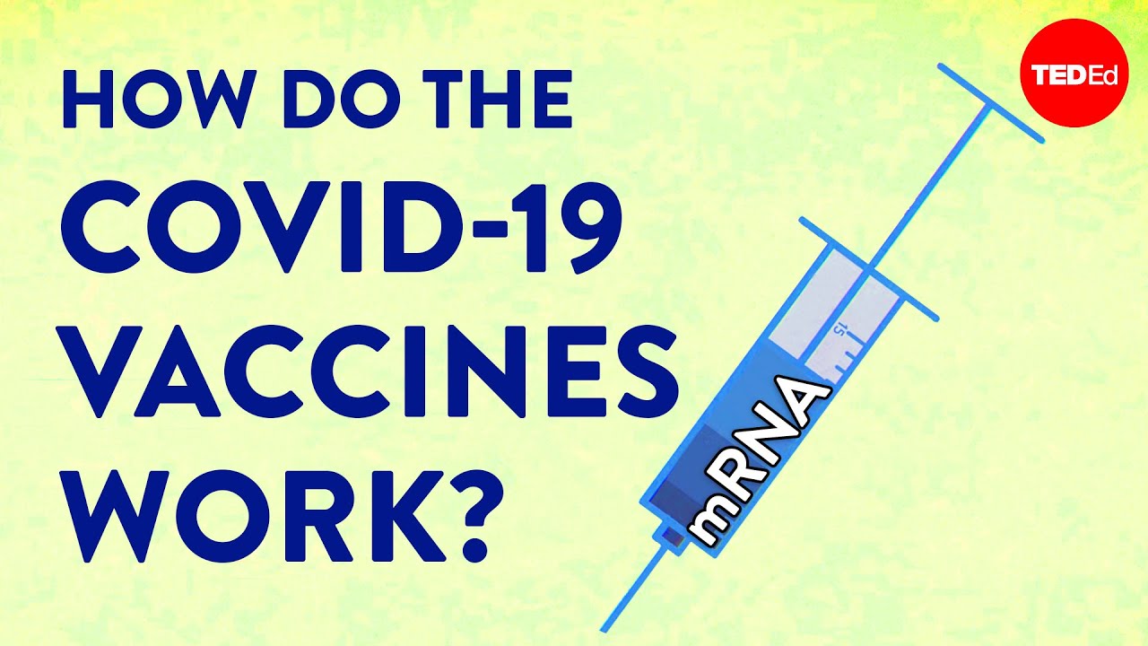 How the COVID-19 vaccines were created so quickly - Kaitlyn Sadtler and Elizabeth Wayne cover art