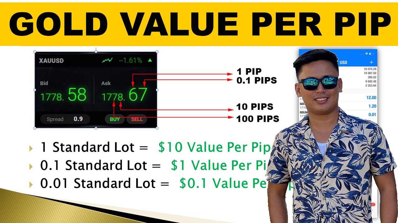 Gold Value Per Pip - How much dollar per pip in Standard and Micro Account? cover art