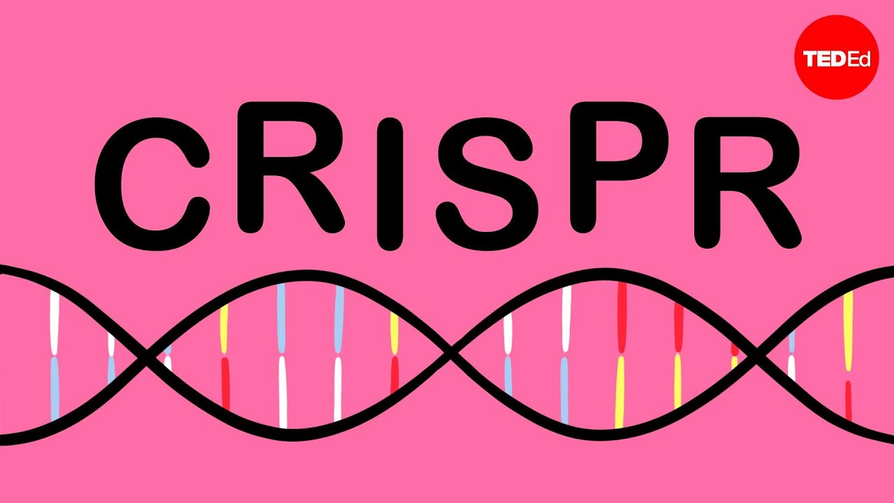 How CRISPR lets you edit DNA - Andrea M. Henle cover art