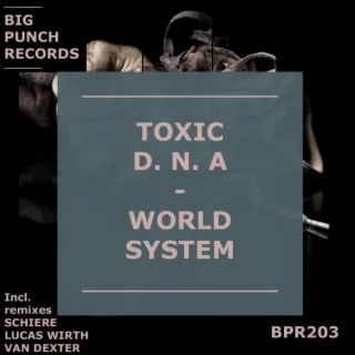 World System (Schiere Remix) cover art