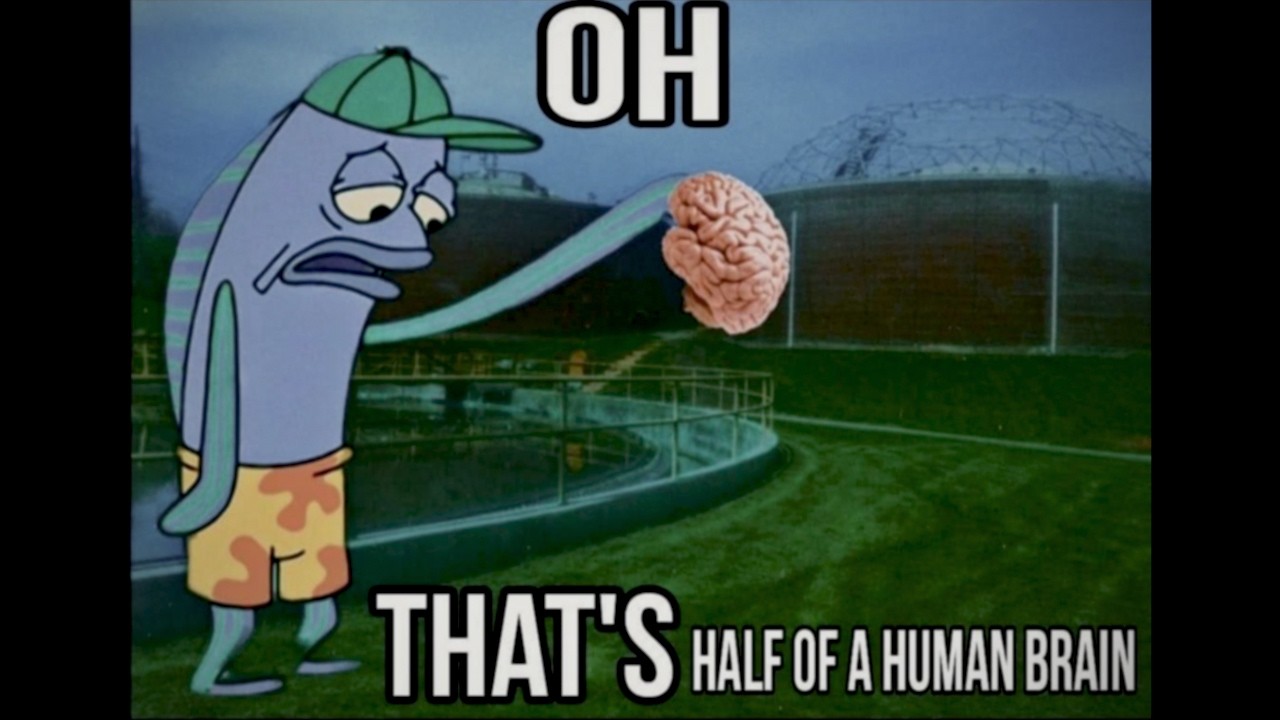The Horrifying Real Events Behind These Memes cover art