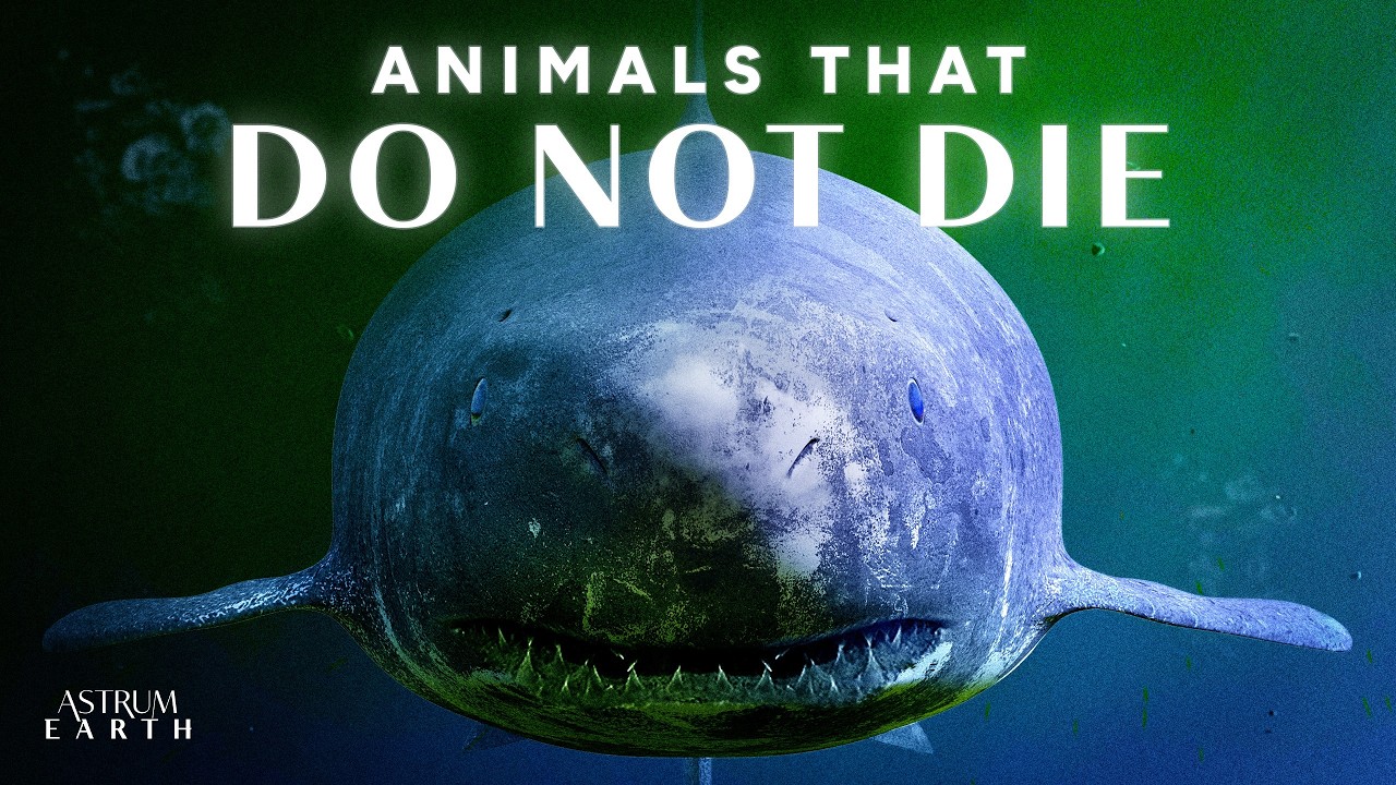 5 Animals That Broke the Rules of Death cover art