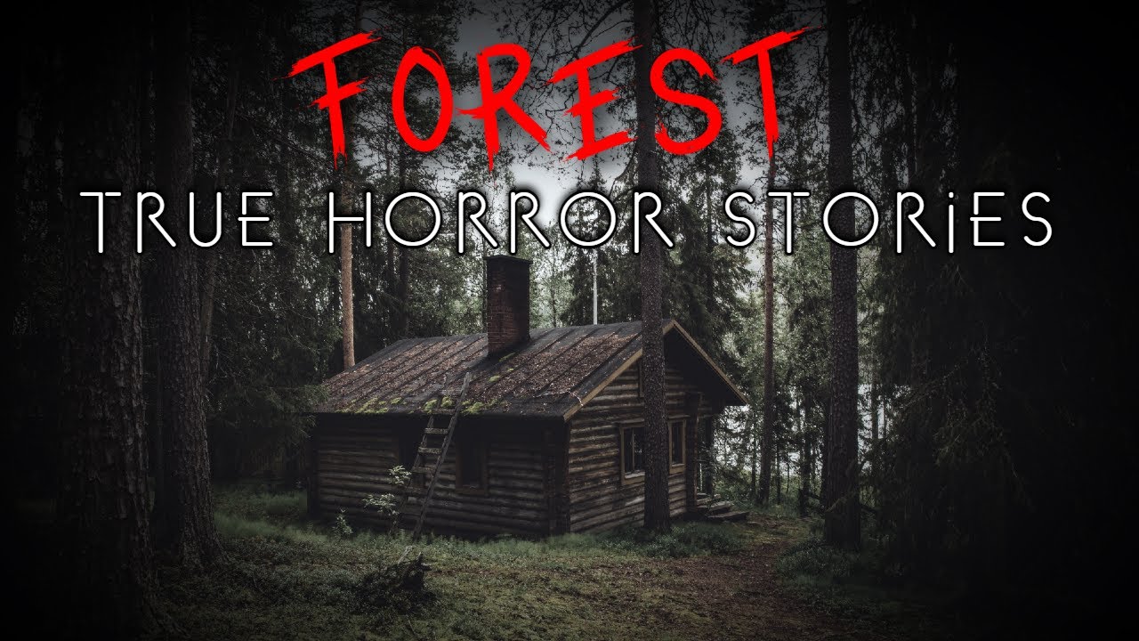 3 True Disturbing Forest Horror Stories (Vol. 2) cover art