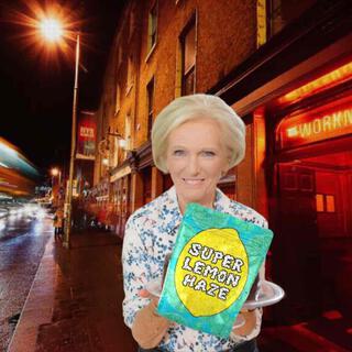 mary berry cover art