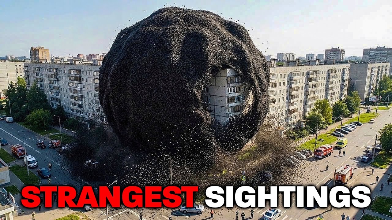 Strange Things Happening Right Now Around the World Caught on Camera cover art